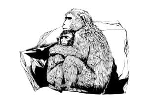 Winter Warrior Challenge